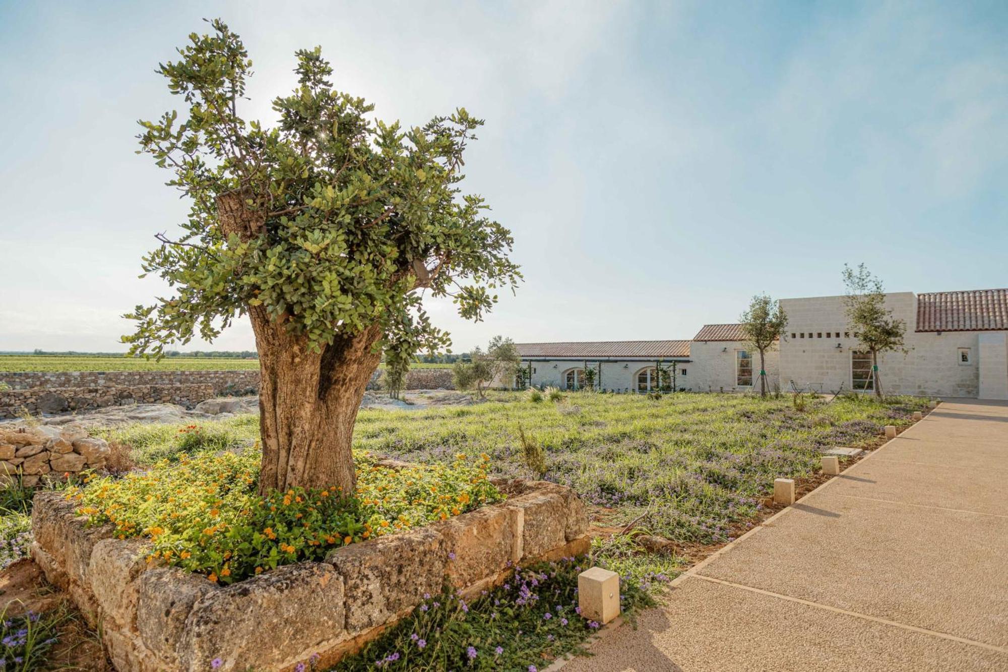 Masseria Vaccaro By Raro Villas - Self Check-In Brindisi Extérieur photo