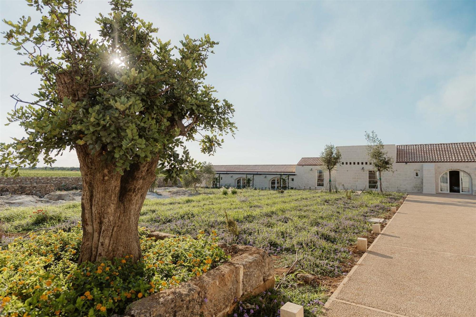 Masseria Vaccaro By Raro Villas - Self Check-In Brindisi Extérieur photo
