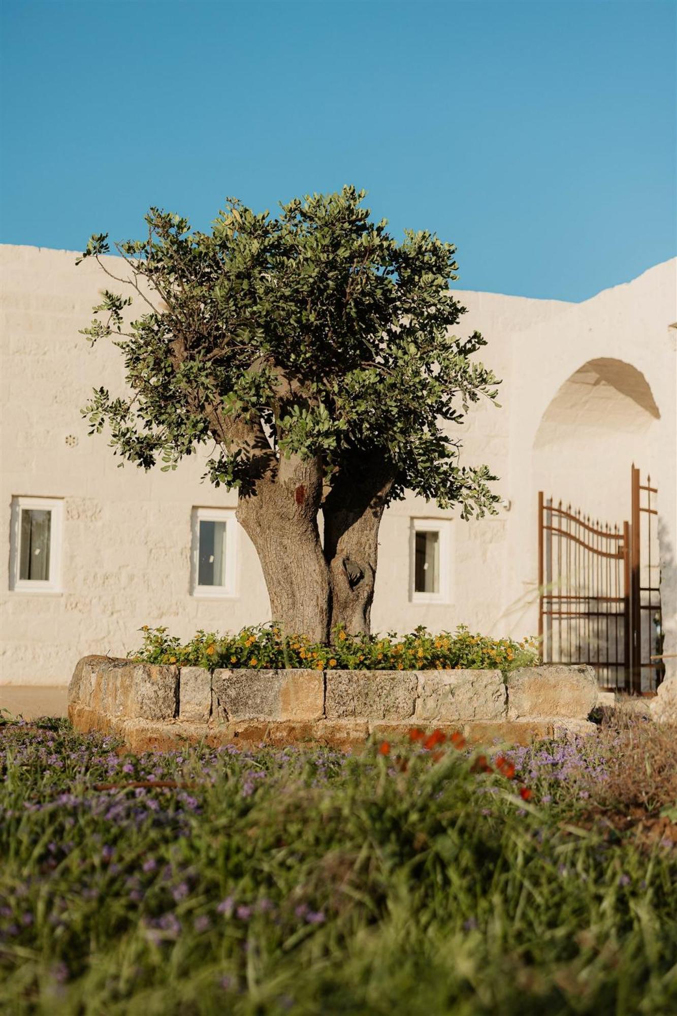 Masseria Vaccaro By Raro Villas - Self Check-In Brindisi Extérieur photo