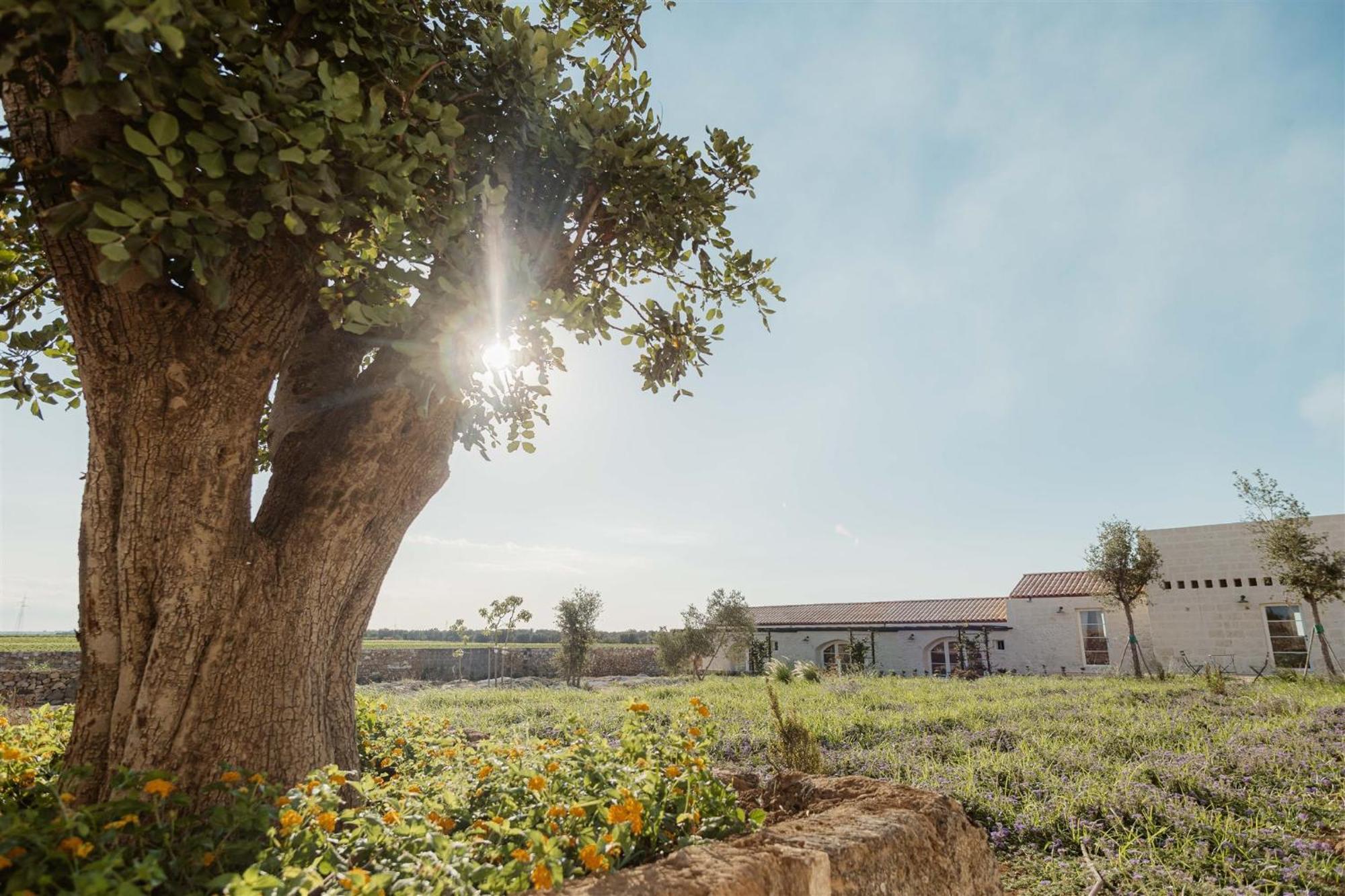 Masseria Vaccaro By Raro Villas - Self Check-In Brindisi Extérieur photo