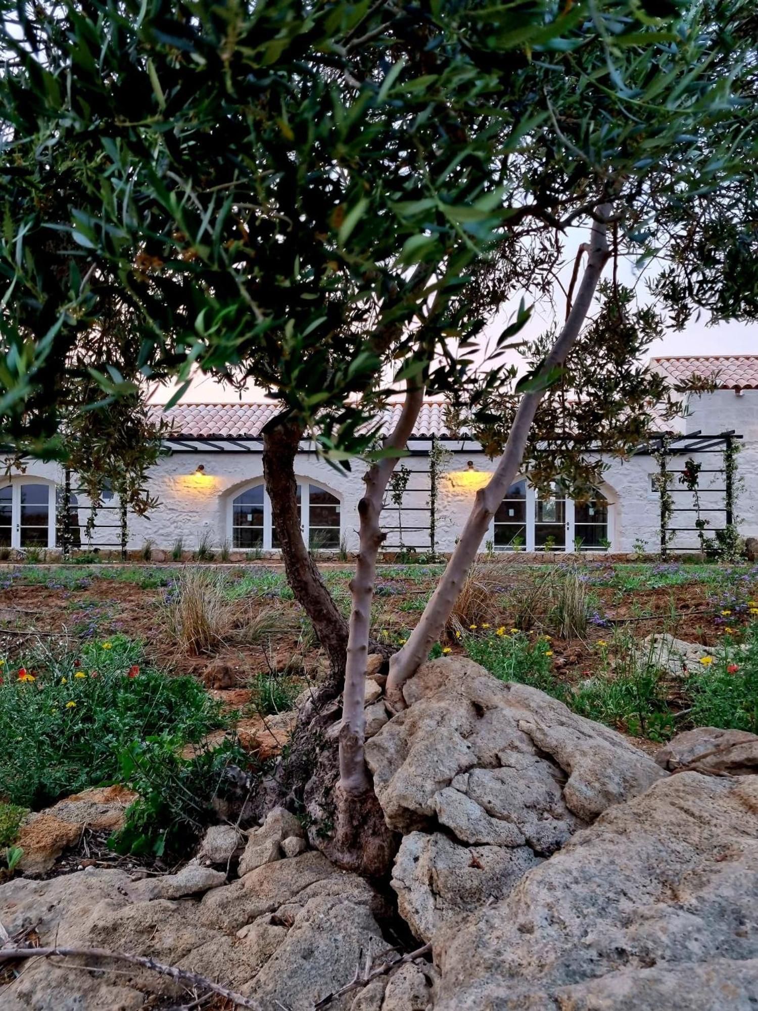 Masseria Vaccaro By Raro Villas - Self Check-In Brindisi Extérieur photo